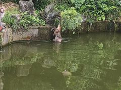-黔灵山公园