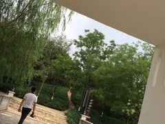 -北京张裕爱斐堡酒庄
