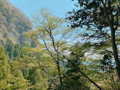 -上色见熊野座神社