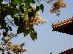 -颐和园