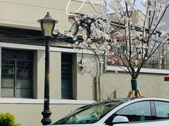 -TESLA 特斯拉(上海太古汇体验店)
