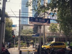 -WHEN PIGS FLY当猪飞