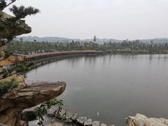 -枫香湖儿童公园