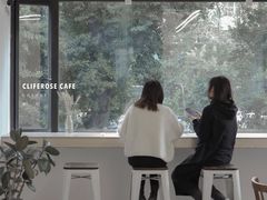 大堂-素咫咖啡CLIFEROSE