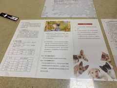 -艾贝尔宠物医院·狂犬免疫点(江山金象城店)