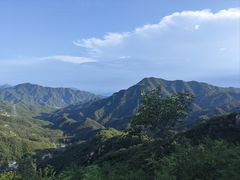 -大岭沟猕猴桃谷风景区