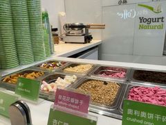 -Salud撒露欧洲冻酸奶(蓝色港湾店)