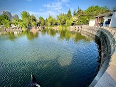 -水绘园