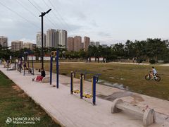 -金鸡岭桥头公园
