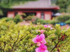-石岛赤山风景区