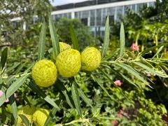 -国家植物园南园