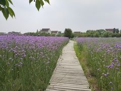 -江天生态园餐厅