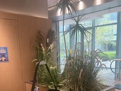 -M Stand(北京平安幸福中心店)