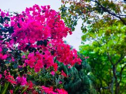 -巍阁高端月子会所