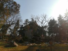 -紫金山山顶公园