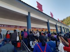 -千年银杏谷文化旅游区