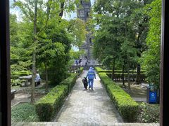 -上海佘山国家森林公园天马山园