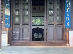 -上海醉白池公园