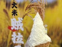 -野人先生现做冰淇淋(北京顺义祥云小镇店)