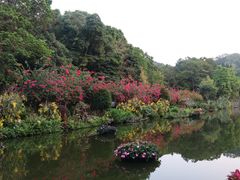 -深圳仙湖植物园