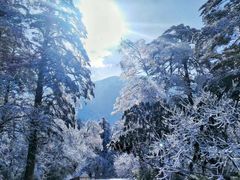 -峨眉山风景名胜区