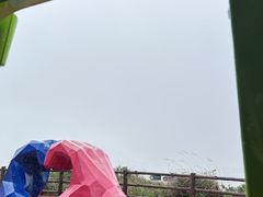-海南铜鼓岭景区