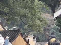 -杨家堂村