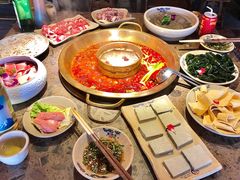 精品千层肚-小龙坎火锅(双林店)