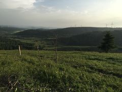 -塞罕坝国家级自然保护区