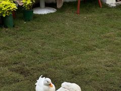 -HERRE·FARM 赫尔露营农场·团建聚会包场