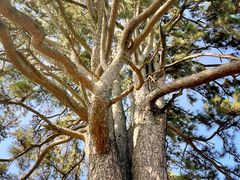 -终南山南五台景区