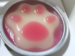 酸甜奶酪猫爪糕-元氏钵仔糕(北京路店)