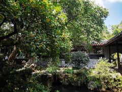 -长广溪湿地公园