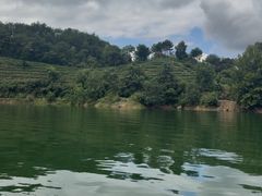 -千岛湖城中湖游船码头