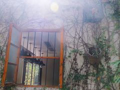 -伦教678文化街
