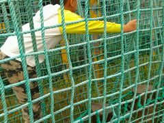 -广东茂名森林公园