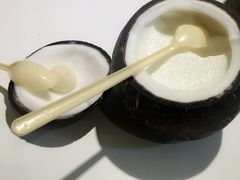 -志龙皇冠吃货椰子铺