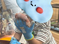 -上海大自然野生昆虫馆(东方明珠·爬宠昆虫探索中心)