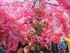 -五大道风景区-常德道孟氏旧居