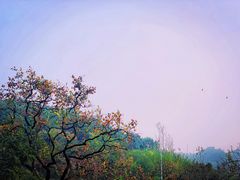 -里口山风景名胜区