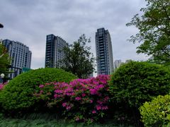 -运河游船(武林门码头)