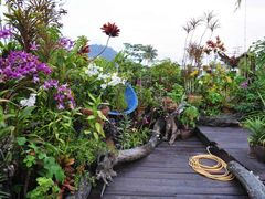 -自然餐厅(Phuket)