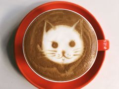 -Anne猫窝咖啡屋