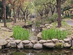 -陈家山荷花公园