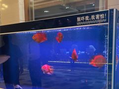 -汉拿山汤泉国际酒店