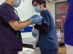 -申普宠物医院·心脏介入·心血管微创(总院)