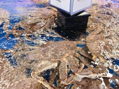 -盒马X会员店(上海森兰商都店)