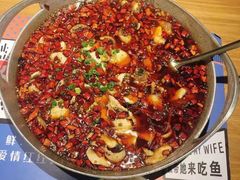 爱妻水煮鱼-爱妻鱼•老体北重庆水煮鱼•川菜(白云路店)