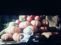 -金逸影城(广州海珠城激光IMAX店)