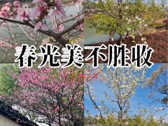 -八大山人梅湖景区